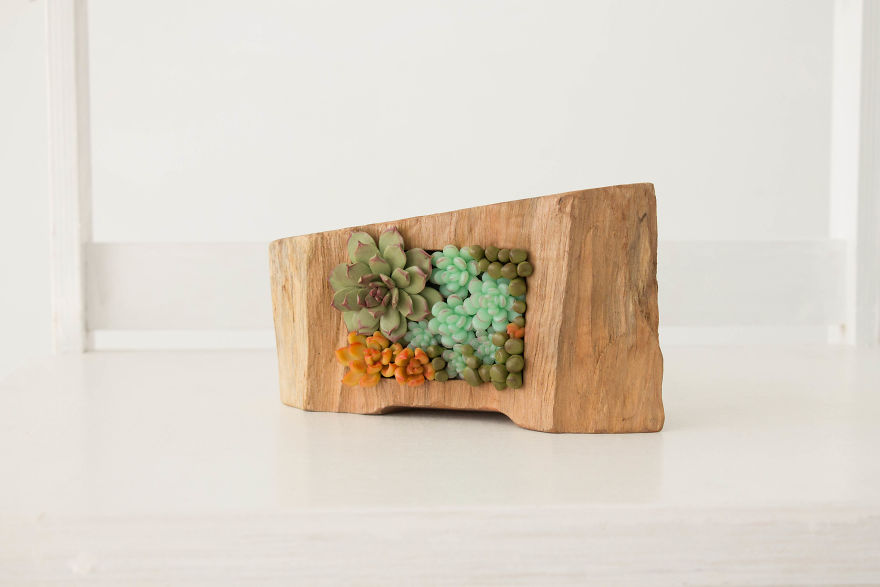 I Created A Beautiful Home Decor Using Wood And Snail Shells