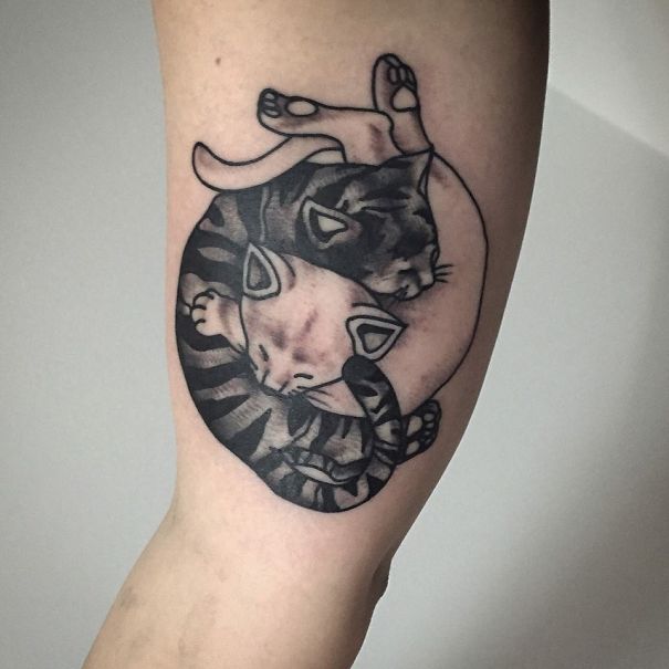 Cat tattoo with black and white kittens curled together, symbolizing harmony and balance.