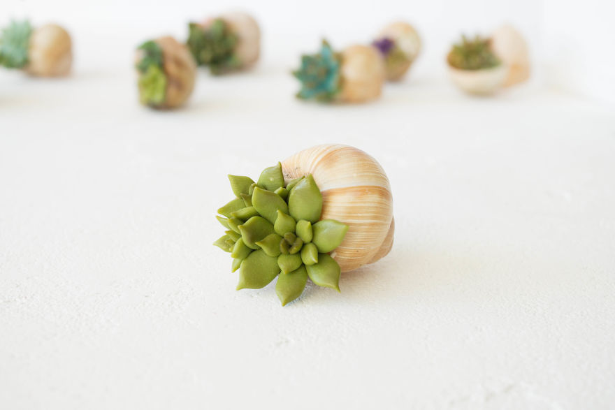 I Created A Beautiful Home Decor Using Wood And Snail Shells