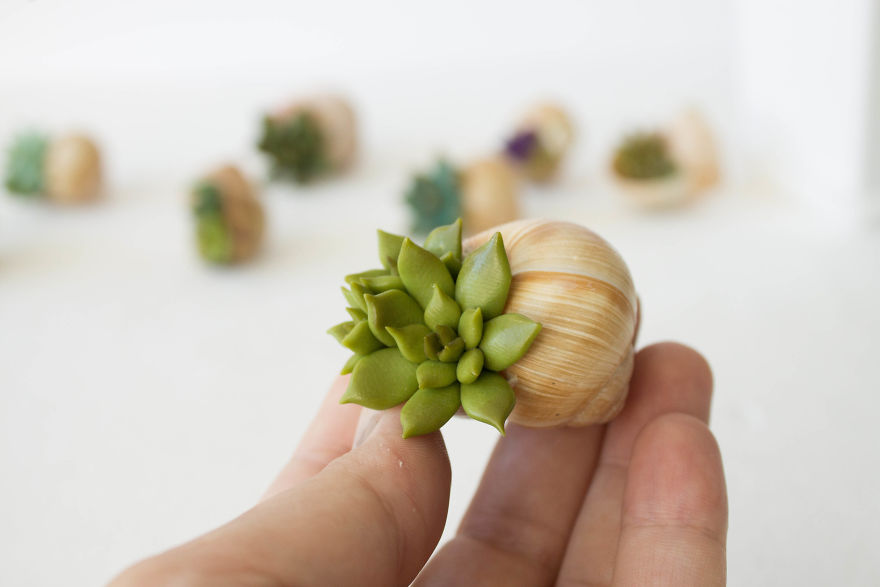 I Created A Beautiful Home Decor Using Wood And Snail Shells