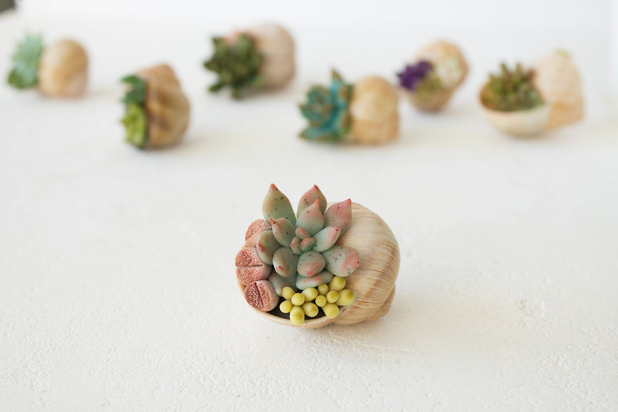 I Created A Beautiful Home Decor Using Wood And Snail Shells