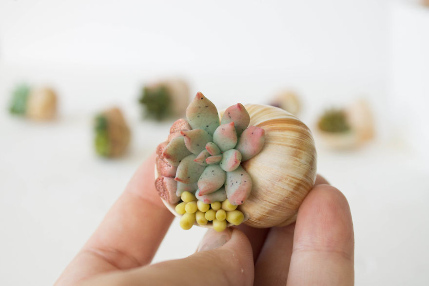 I Created A Beautiful Home Decor Using Wood And Snail Shells