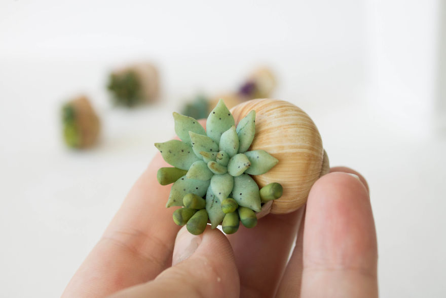 I Created A Beautiful Home Decor Using Wood And Snail Shells