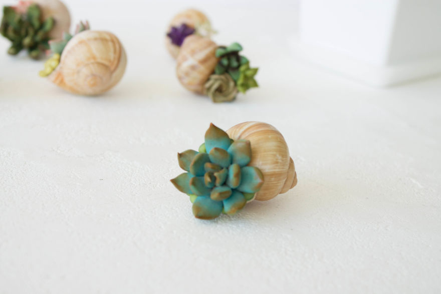 I Created A Beautiful Home Decor Using Wood And Snail Shells