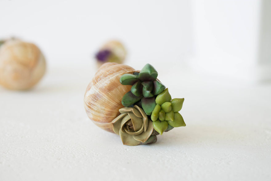I Created A Beautiful Home Decor Using Wood And Snail Shells