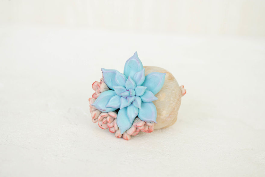 I Created A Beautiful Home Decor Using Wood And Snail Shells