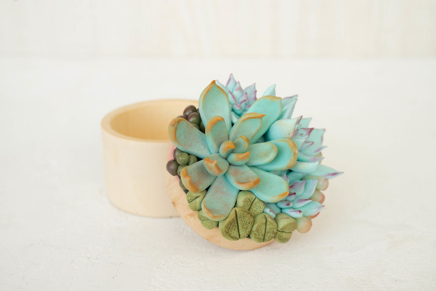 I Created A Beautiful Home Decor Using Wood And Snail Shells