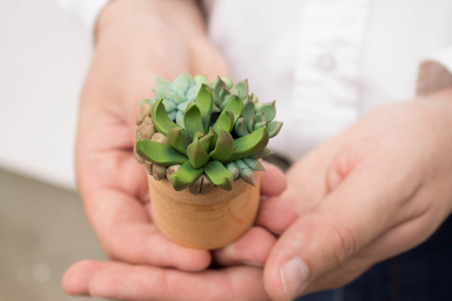 I Created A Beautiful Home Decor Using Wood And Snail Shells