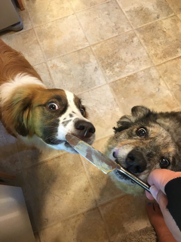 We Wants The Precious...