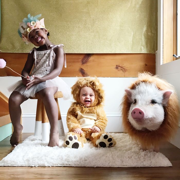 Sweet Fluff Dress Up, Halloween Costumes Of Kids With Their Pets