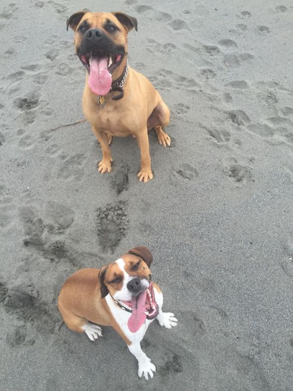 "no, My Tongue Is Longer!"