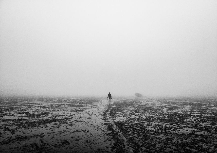 Excerpt Of Everyday: My Photography Journey With Iphone 4