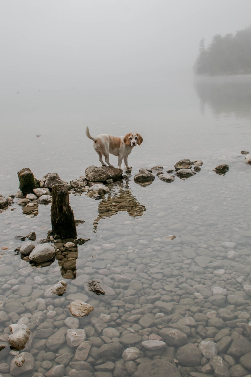 I Hiked Through Slovenia With My Dog For Two Weeks