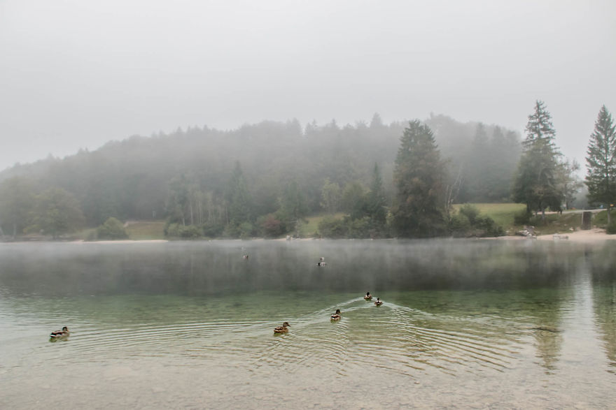 I Hiked Through Slovenia With My Dog For Two Weeks