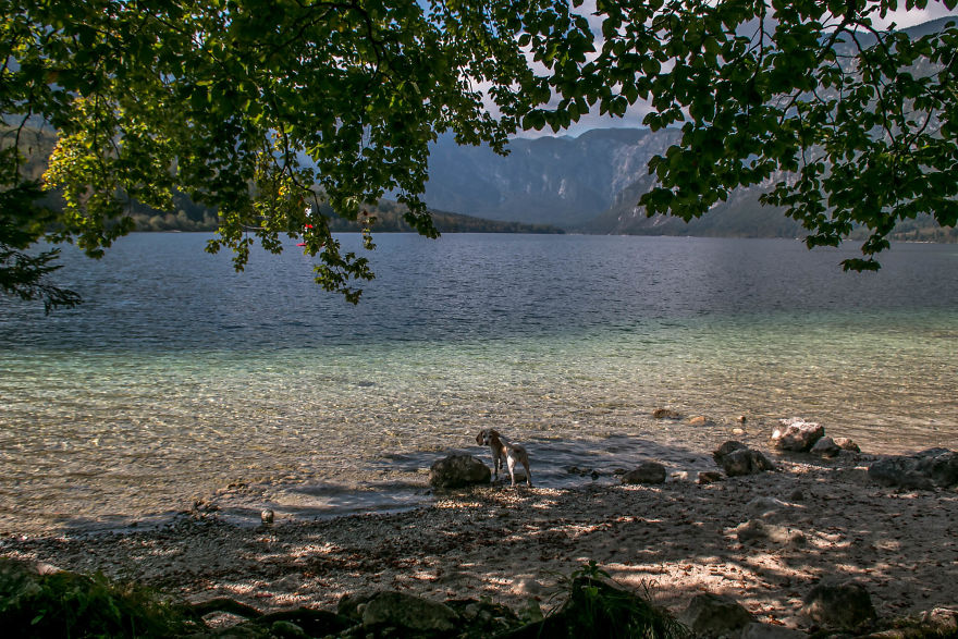 I Hiked Through Slovenia With My Dog For Two Weeks