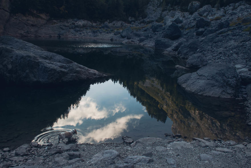 I Hiked Through Slovenia With My Dog For Two Weeks