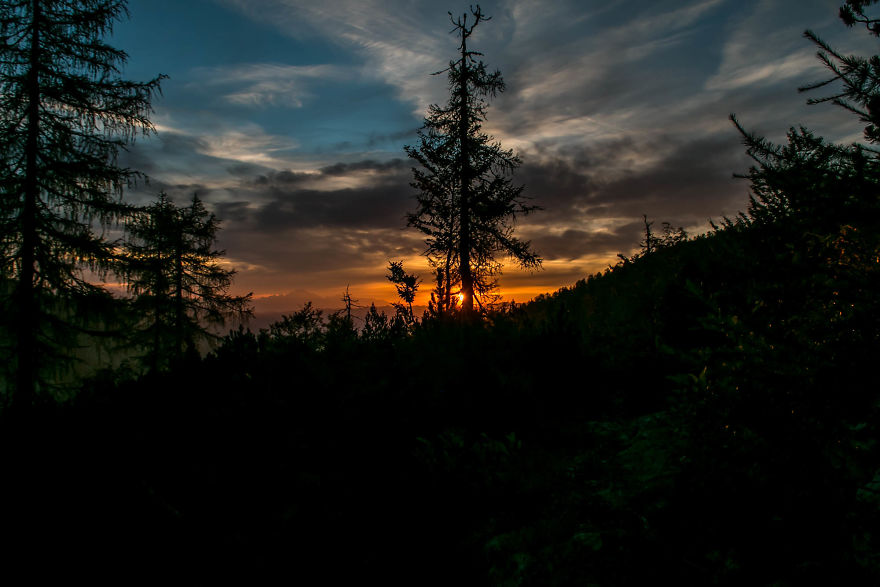 I Hiked Through Slovenia With My Dog For Two Weeks