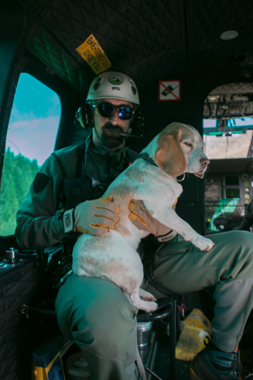 I Hiked Through Slovenia With My Dog For Two Weeks