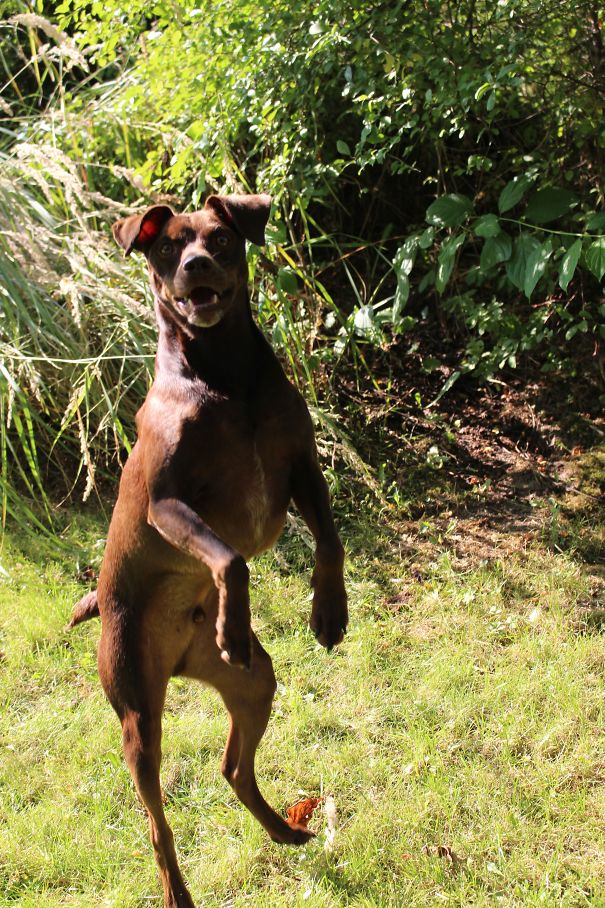 Someone Stole His Bike...