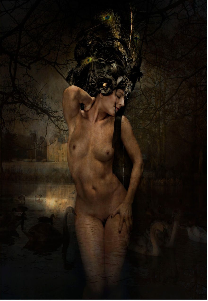 International Master Photographer Of The Year 2016-17