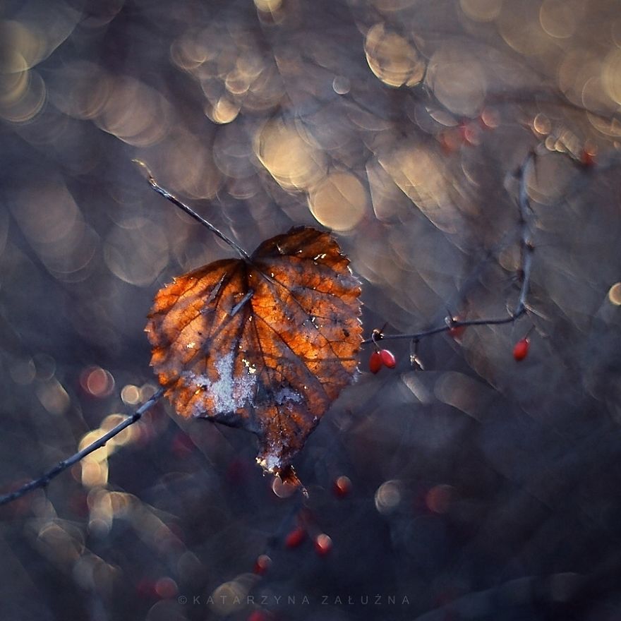 My Impressionist Photos Of Autumn In Poland My Impressionist Photos Of Autumn In Poland