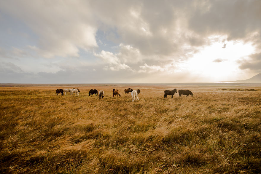 I Spent A Week In Iceland, My Heart Will Stay There Forever I Spent A Week In Iceland, My Heart Will Stay There Forever