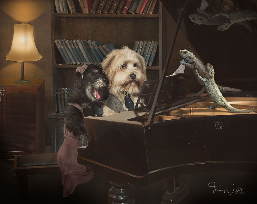 I Create Surreal Photos Of My Pets Using Photoshop (Part 2) I Create Surreal Photos Of My Pets Using Photoshop (Part 2)