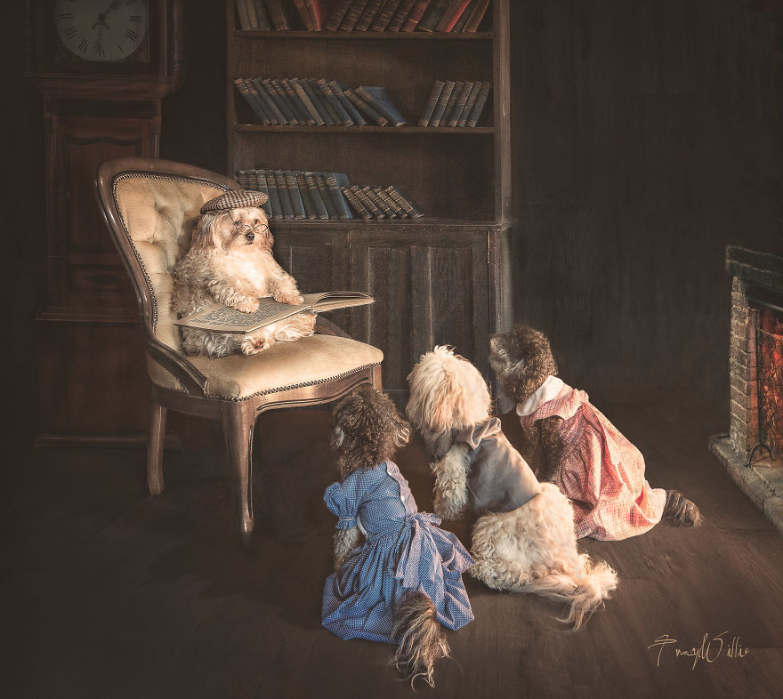 I Create Surreal Photos Of My Pets Using Photoshop (Part 2)