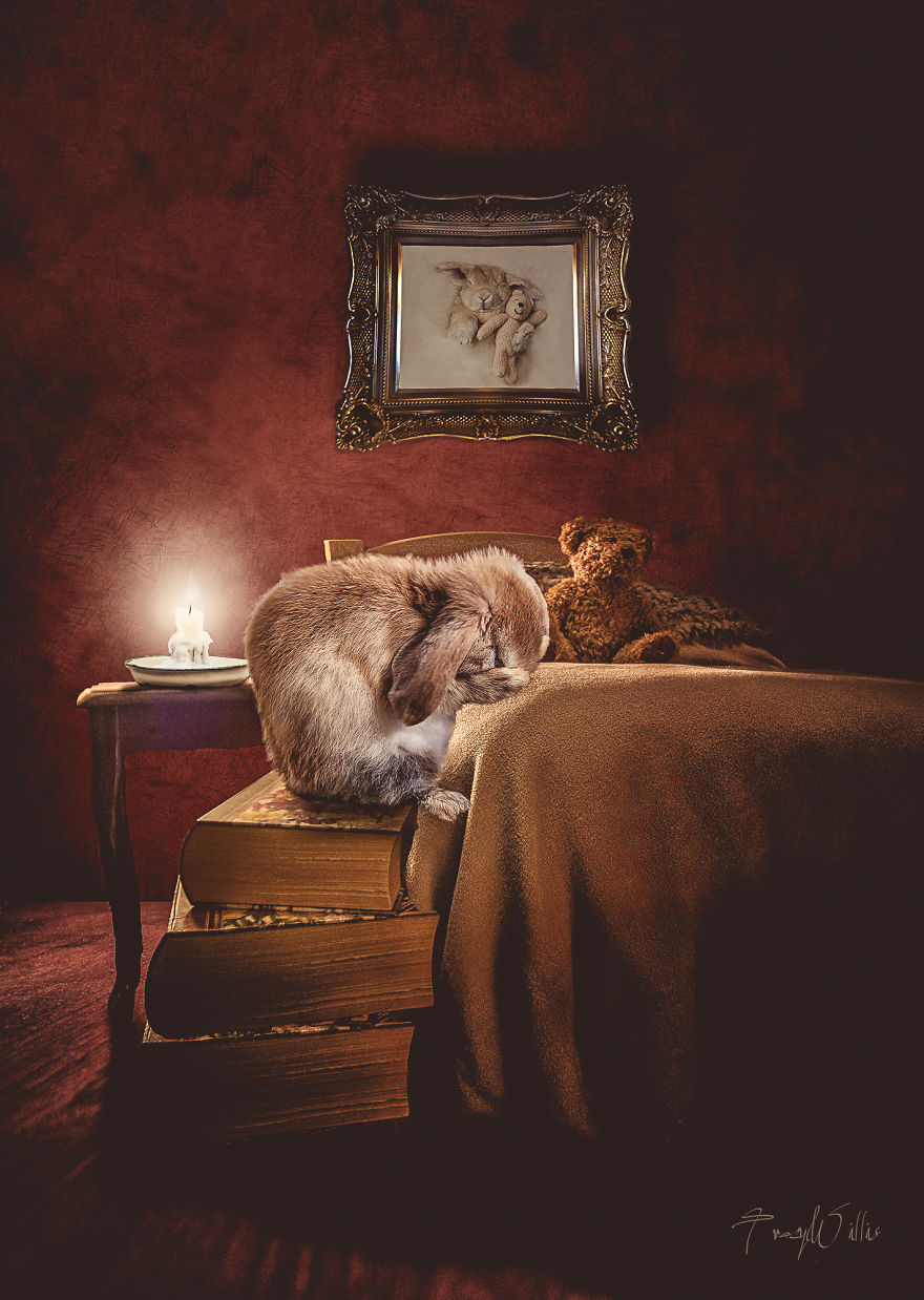 I Create Surreal Photos Of My Pets Using Photoshop (Part 2)