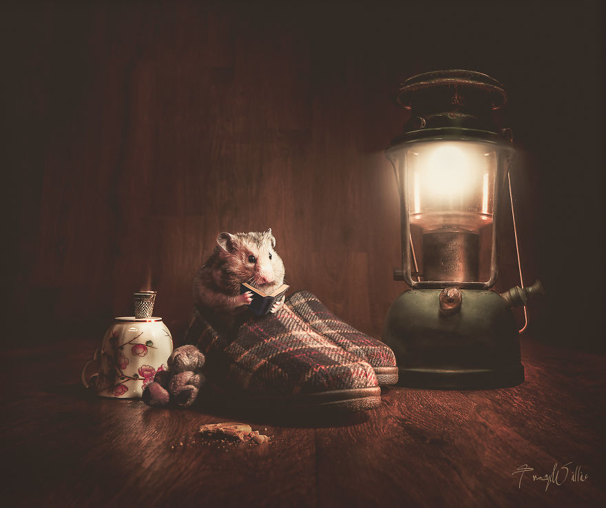 I Create Surreal Photos Of My Pets Using Photoshop (Part 2) I Create Surreal Photos Of My Pets Using Photoshop (Part 2)