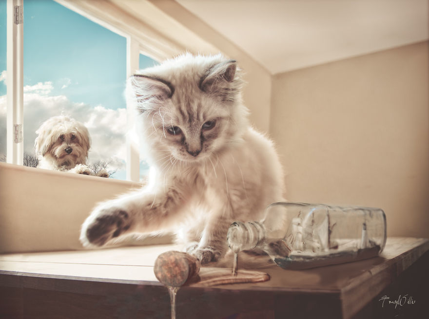 I Create Surreal Photos Of My Pets Using Photoshop (Part 2)