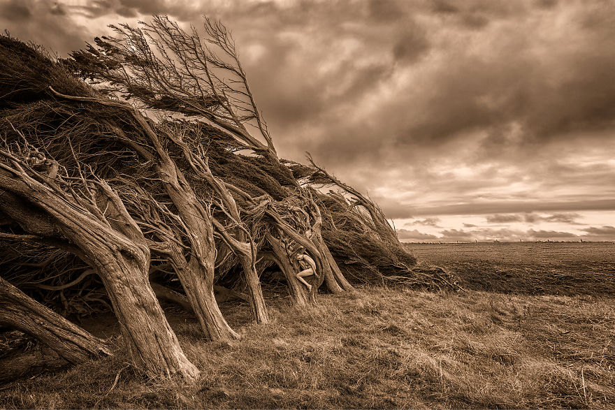 I Photograph Myself Naked With Trees To Show That We Are Nature I Photograph Myself Naked With Trees To Show That We Are Nature