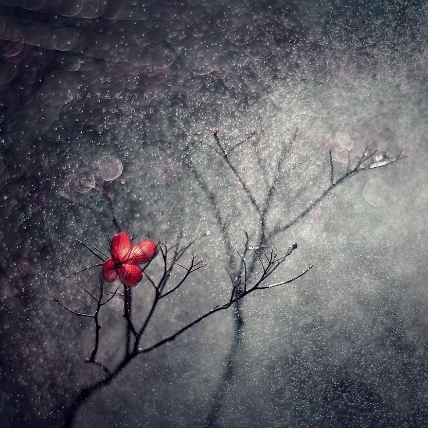 My Impressionist Photos Of Autumn In Poland My Impressionist Photos Of Autumn In Poland