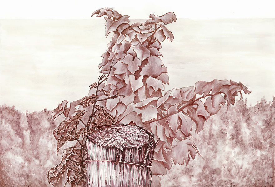 Weathered Vineyard Post. Wine: Pinot Noir, Cabernet Shiraz