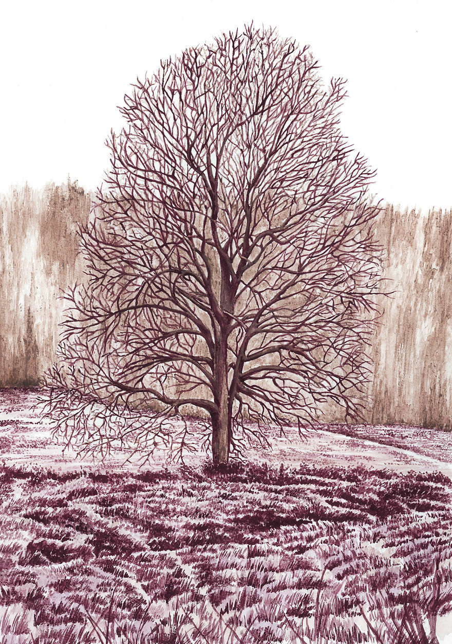 Lonely Tree. Wine: Pinot Meunier, Shiraz