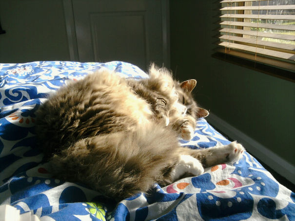 Not Quite Sure Whats Happening Here....