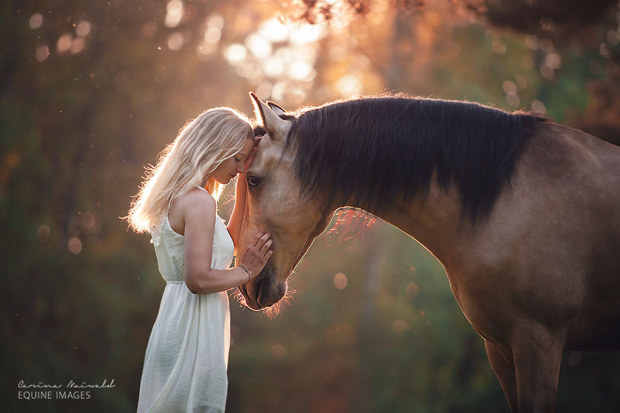 Photographer Shows Rare Horse Moments And Captures Their Unique Character