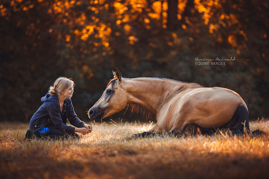 Photographer Shows Rare Horse Moments And Captures Their Unique Character