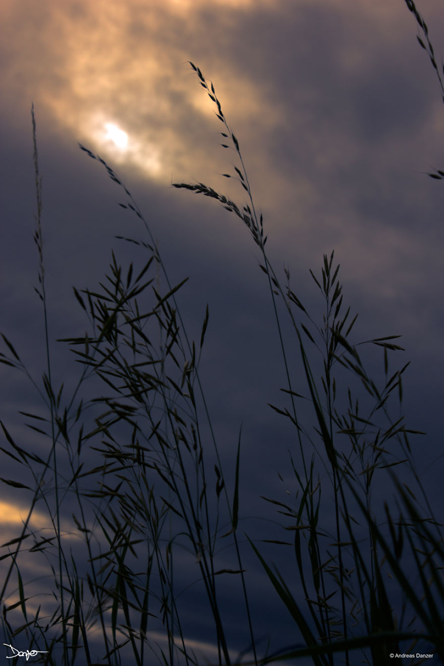 Photography - My Therapy