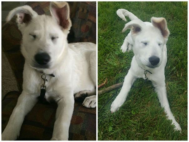 She Blinks Every Time!