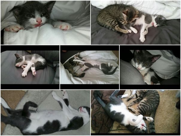 Once A Derp, Always A Derp