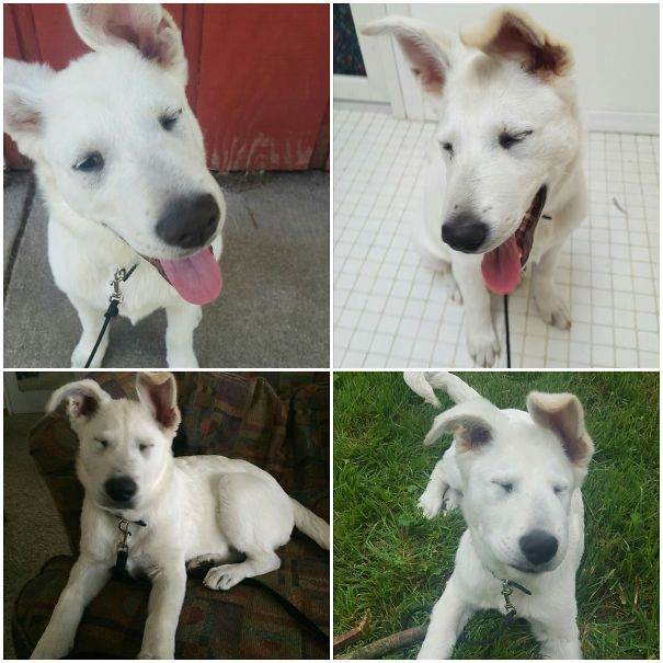 Little Derp Blinks Every Time!