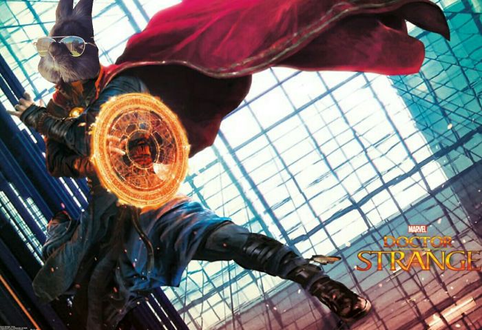 Doctor Strange Bunny