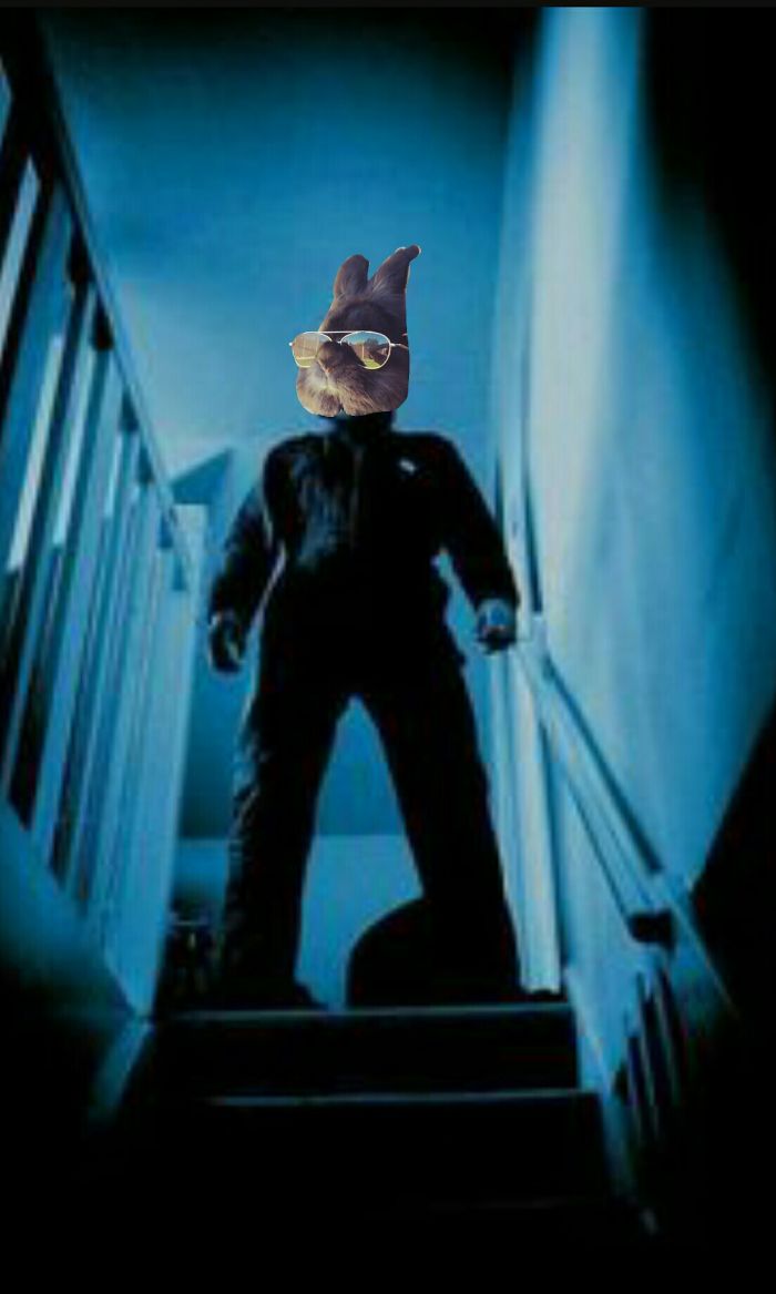 Myers Bunny