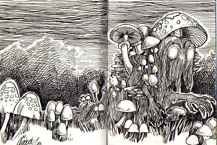 I Make Small Haunted Drawings For Inktober I Make Small Haunted Drawings For Inktober