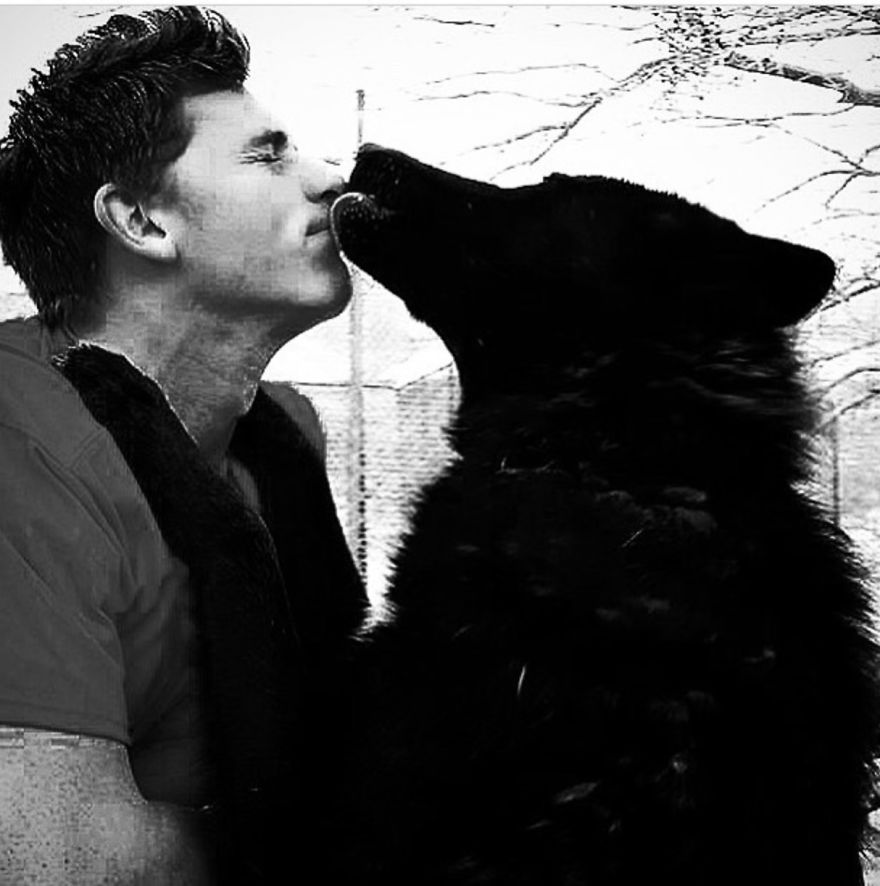 Wolf Mountain Sanctuary Inspired My First Fully Illustrated Children's Book Wolf Mountain Sanctuary Inspired My First Fully Illustrated Children's Book