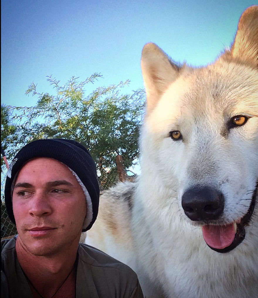 Wolf Mountain Sanctuary Inspired My First Fully Illustrated Children's Book