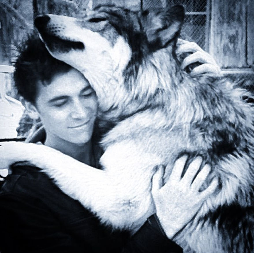 Wolf Mountain Sanctuary Inspired My First Fully Illustrated Children's Book