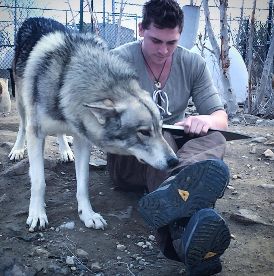 Wolf Mountain Sanctuary Inspired My First Fully Illustrated Children's Book Wolf Mountain Sanctuary Inspired My First Fully Illustrated Children's Book