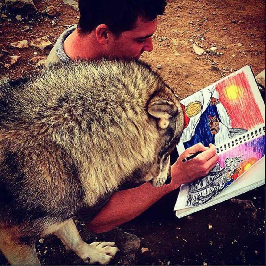 Wolf Mountain Sanctuary Inspired My First Fully Illustrated Children's Book